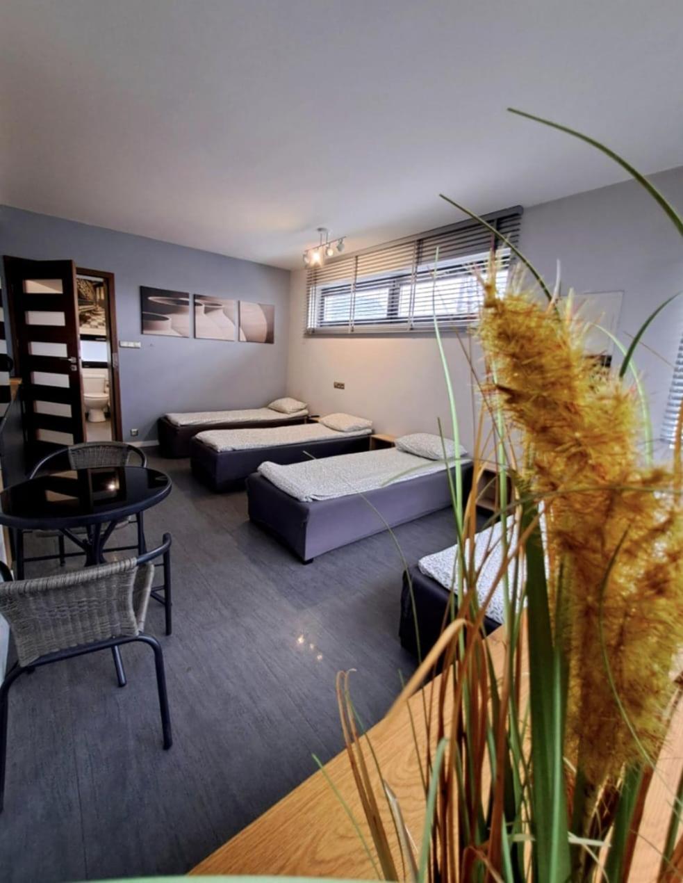 Apartament Studio Piano Плоцк Экстерьер фото